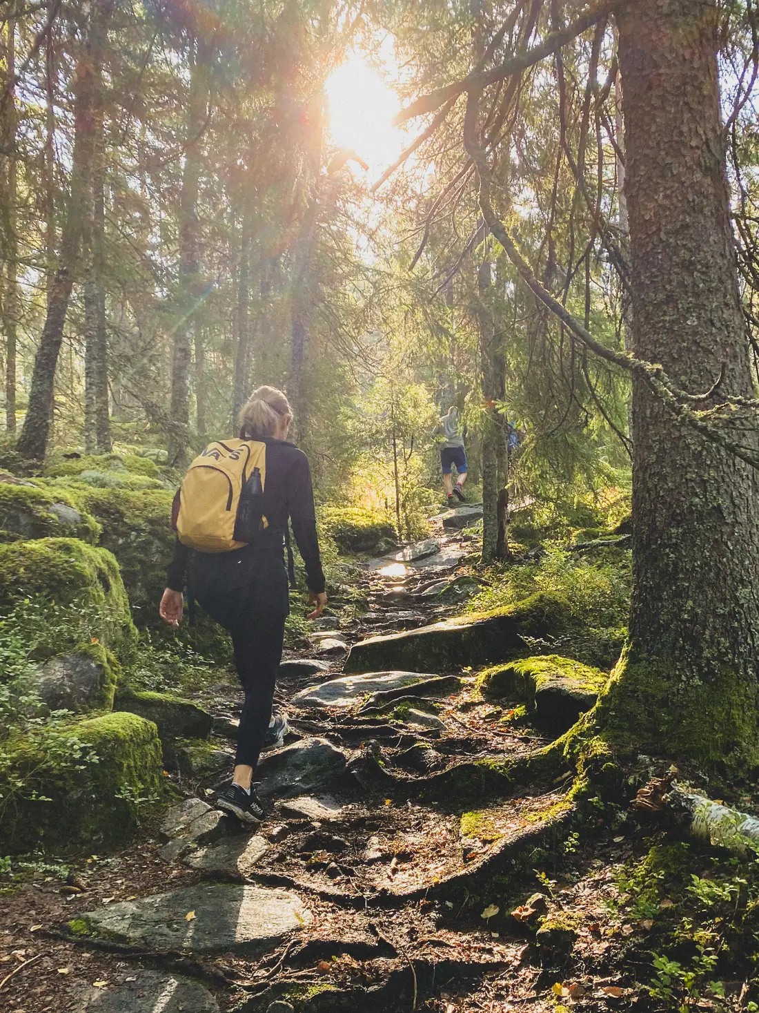 Två delägare vandrar uppför en mossig skogsstig mot solen under en friluftsdag